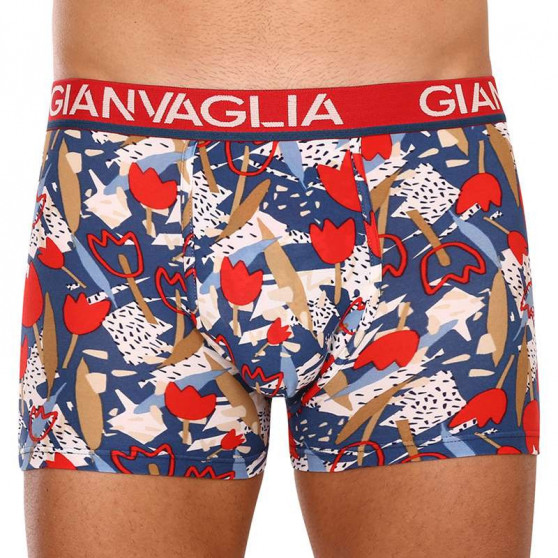 5PACK herenboxershort Gianvaglia veelkleurig (GVG-5063)