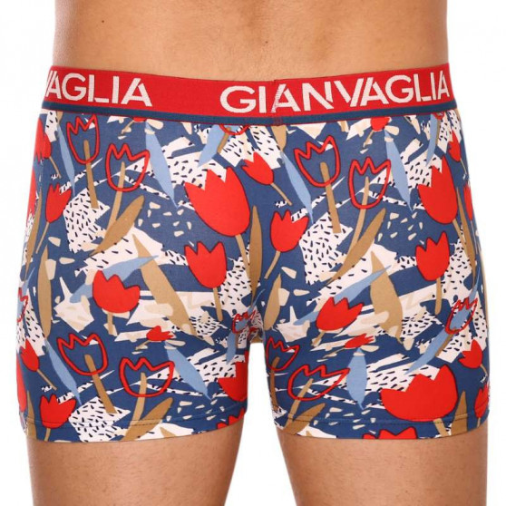 5PACK herenboxershort Gianvaglia veelkleurig (GVG-5063)