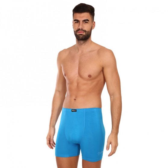 Herenboxershort Gino blauw (74158)