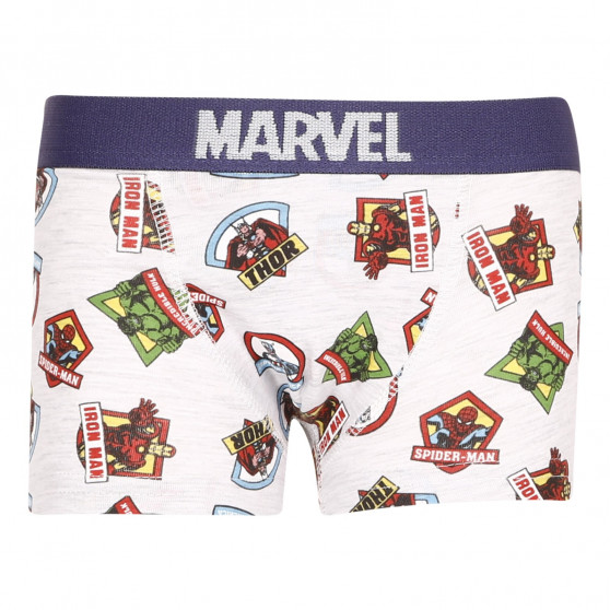 2PACK jongens boxershort E plus M Marvel multicolour (52 33 307/333)