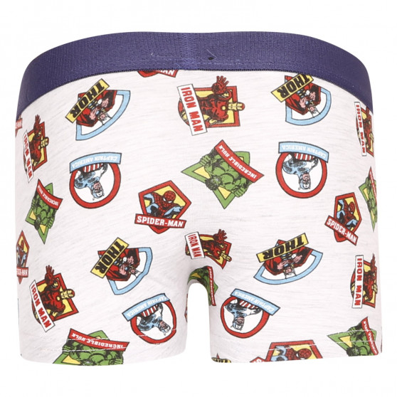 2PACK jongens boxershort E plus M Marvel multicolour (52 33 307/333)