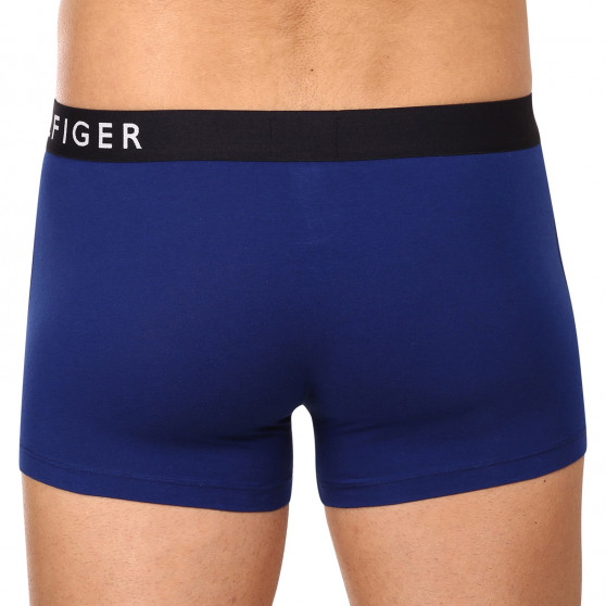 3PACK herenboxershort Tommy Hilfiger veelkleurig (UM0UM02202 0TW)