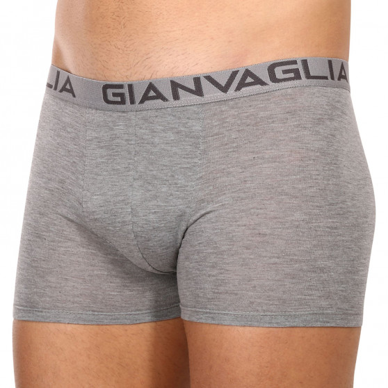 10PACK herenboxershort Gianvaglia veelkleurig (023)