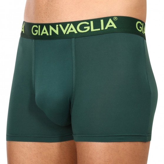 5PACK herenboxershort Gianvaglia veelkleurig (GVG-5006)