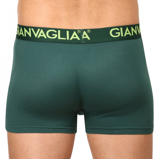 5PACK herenboxershort Gianvaglia veelkleurig (GVG-5006)