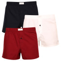 3PACK Herenboxershort Tommy Hilfiger veelkleurig (UM0UM02848 0WE)