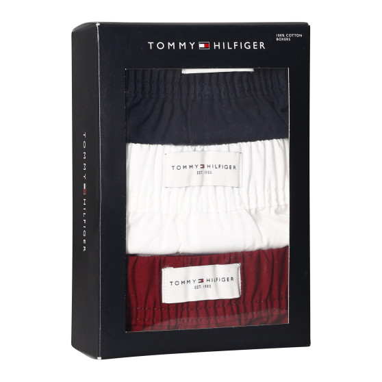 3PACK Herenboxershort Tommy Hilfiger veelkleurig (UM0UM02848 0WE)