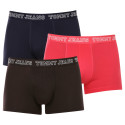 3PACK herenboxershort Tommy Hilfiger veelkleurig (UM0UM02850 0T0)