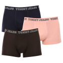 3PACK herenboxershort Tommy Hilfiger veelkleurig (UM0UM02850 0TT)