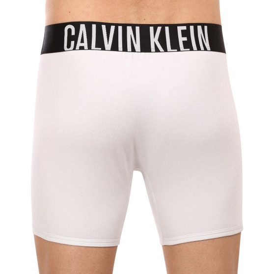 2PACK herenboxershort Calvin Klein veelkleurig (NB2603A-C2D)