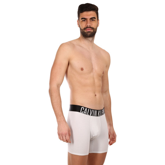 2PACK herenboxershort Calvin Klein veelkleurig (NB2603A-C2D)