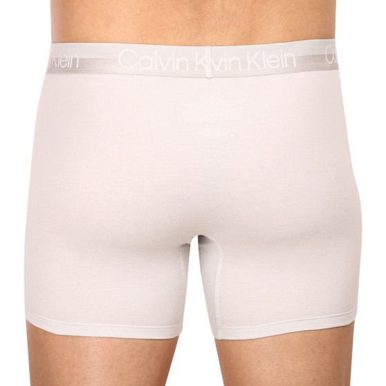 3PACK herenboxershort Calvin Klein veelkleurig (NB2971A-CBC)