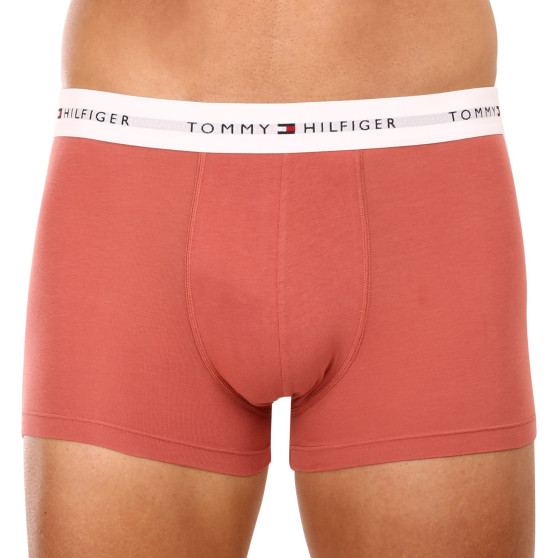 3PACK herenboxershort Tommy Hilfiger veelkleurig (UM0UM02761 0TF)