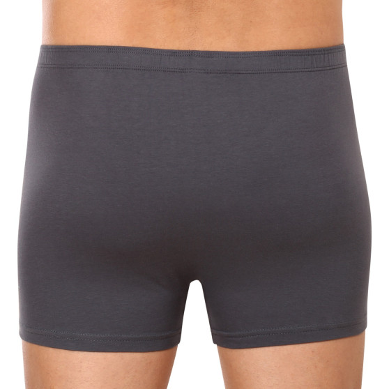 Herenboxershort Gino grijs (73113)