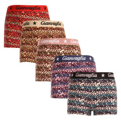 5PACK meisjes boxerslip met pijp Gianvaglia multicolour (813)