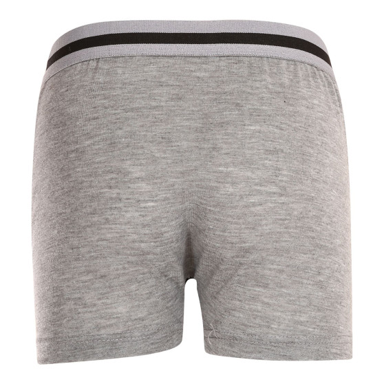 Kinderboxershort Gianvaglia grijs (023)