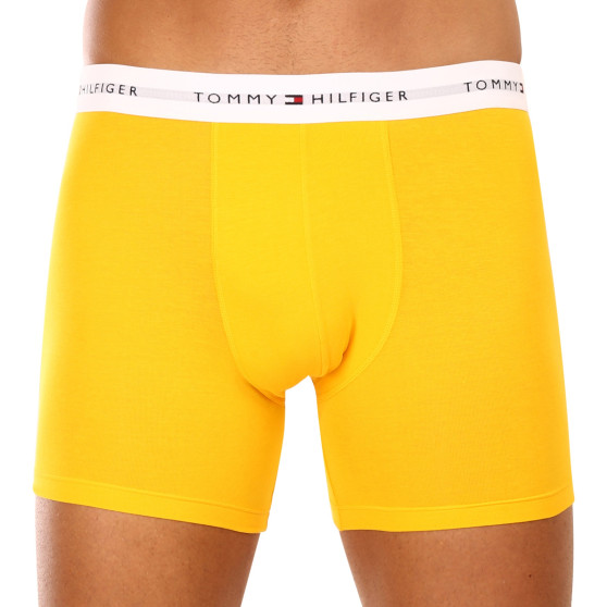 3PACK herenboxershort Tommy Hilfiger veelkleurig (UM0UM02941 0W8)