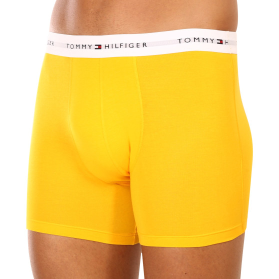 3PACK herenboxershort Tommy Hilfiger veelkleurig (UM0UM02941 0W8)