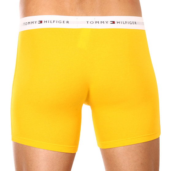 3PACK herenboxershort Tommy Hilfiger veelkleurig (UM0UM02941 0W8)