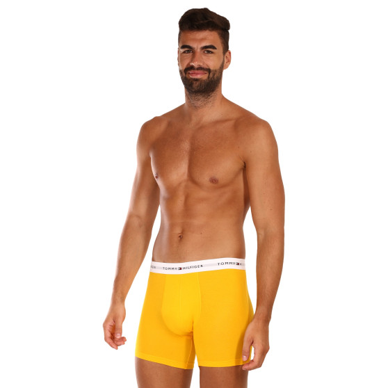 3PACK herenboxershort Tommy Hilfiger veelkleurig (UM0UM02941 0W8)