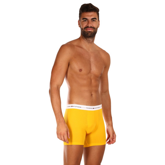 3PACK herenboxershort Tommy Hilfiger veelkleurig (UM0UM02941 0W8)