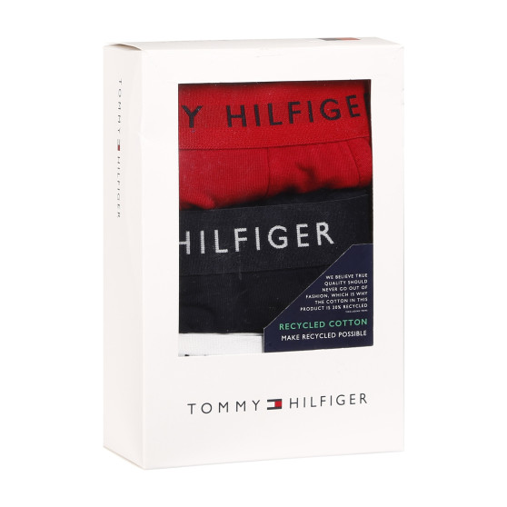 3PACK herenboxershort Tommy Hilfiger veelkleurig (UM0UM02203 0WS)