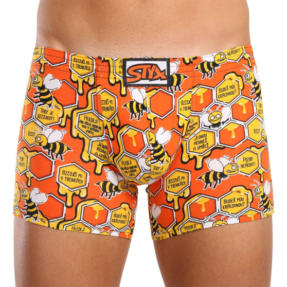 Herenboxershort Styx lange kunst klassieke rubberen bijen (F1654)