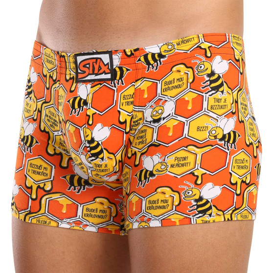 Herenboxershort Styx lange kunst klassieke rubberen bijen (F1654)