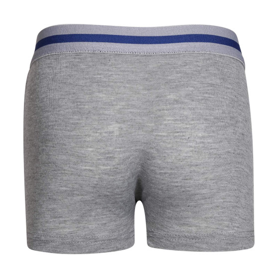 5PACK kinderboxershort Gianvaglia veelkleurig (023)