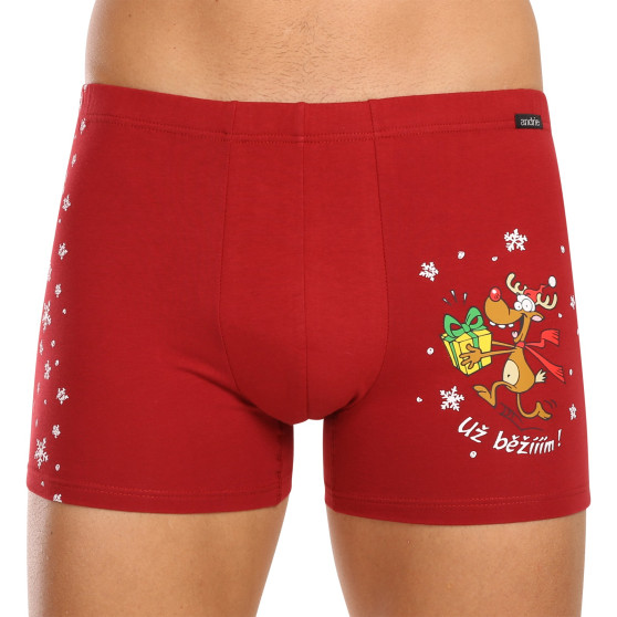 3PACK herenboxershort Andrie veelkleurig (PS 5779)