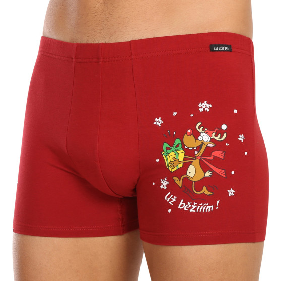 3PACK herenboxershort Andrie veelkleurig (PS 5779)