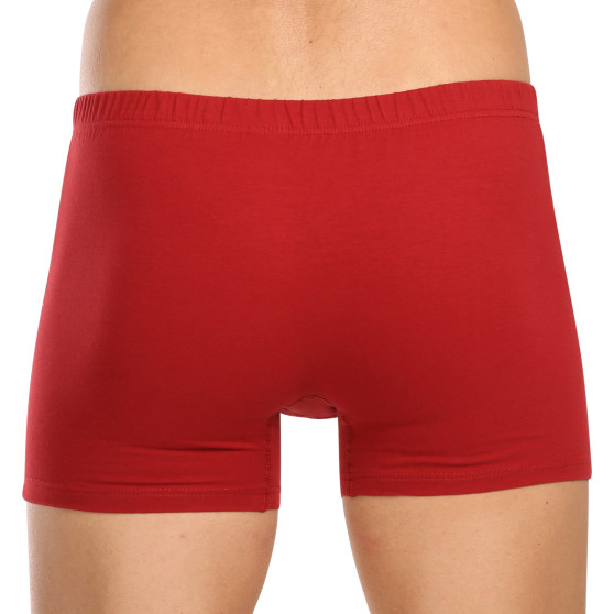 3PACK herenboxershort Andrie veelkleurig (PS 5779)