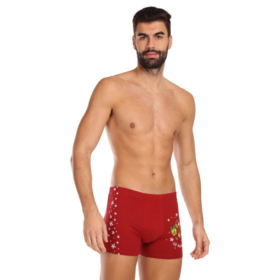 3PACK herenboxershort Andrie veelkleurig (PS 5779)