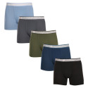 5PACK herenboxershort Gianvaglia veelkleurig (GVG-5013)