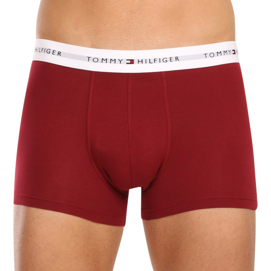 3PACK herenboxershort Tommy Hilfiger veelkleurig (UM0UM02761 0SS)