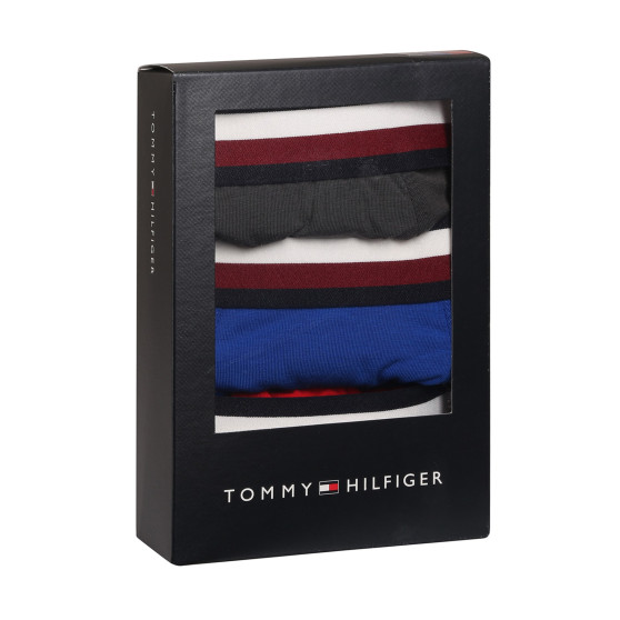 3PACK herenboxershort Tommy Hilfiger veelkleurig (UM0UM03035 0UG)