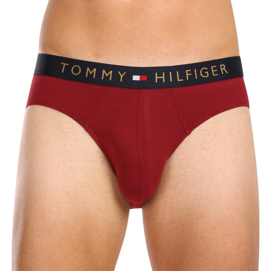 5PACK herenslip Tommy Hilfiger veelkleurig (UM0UM03037 0WJ)