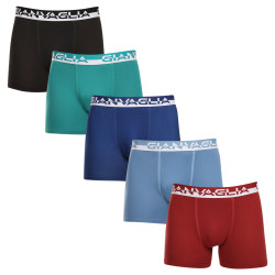 5PACK herenboxershort Gianvaglia veelkleurig (GVG-5011)