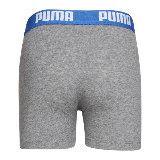 2PACK jongens boxershort Puma veelkleurig (701219336 417)