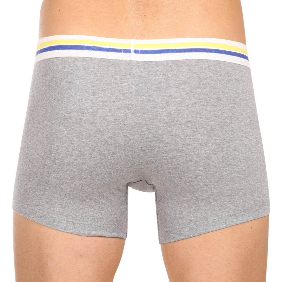 2PACK herenboxershort Levis veelkleurig (701222843 009)