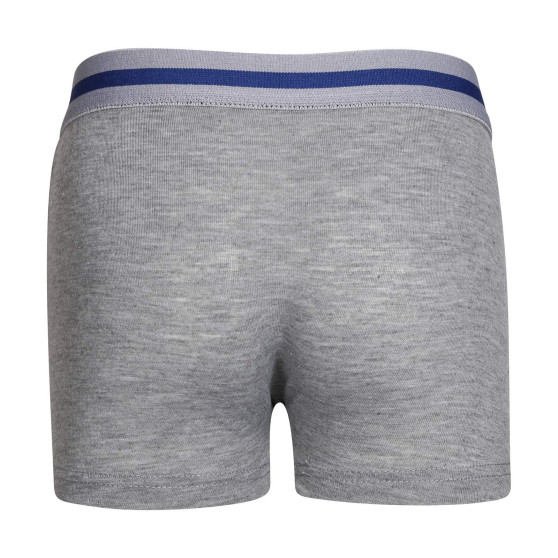 Kinderboxershort Gianvaglia grijs (023)