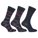 3PACK herensokken Tommy Hilfiger veelkleurig (701224445 001)