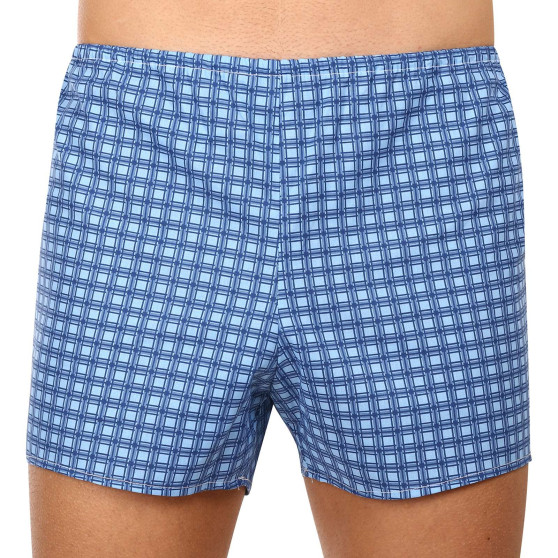 Klassieke Herenboxershorts Foltýn blauwe ruiten (K54)