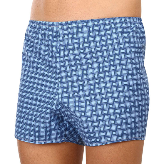 Klassieke Herenboxershorts Foltýn blauwe ruiten oversized (KN78)