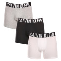 3PACK herenboxershort Calvin Klein veelkleurig (NB3609A-MP1)