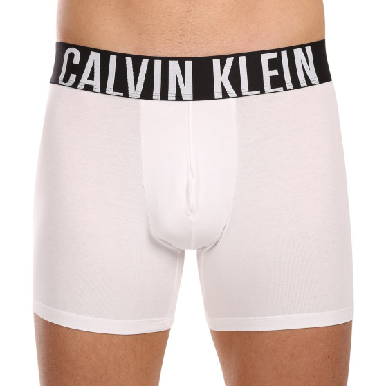 3PACK herenboxershort Calvin Klein veelkleurig (NB3609A-MP1)