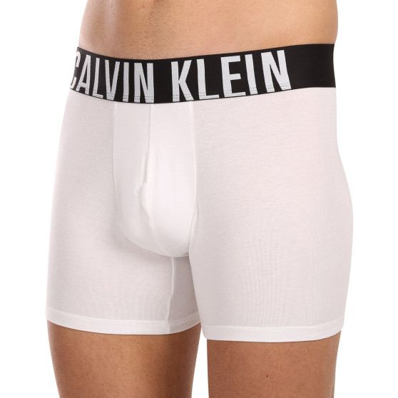 3PACK herenboxershort Calvin Klein veelkleurig (NB3609A-MP1)