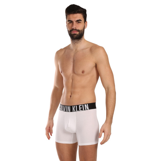 3PACK herenboxershort Calvin Klein veelkleurig (NB3609A-MP1)