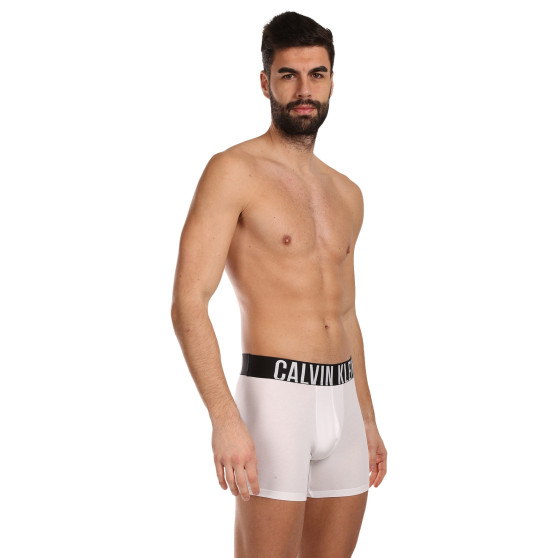 3PACK herenboxershort Calvin Klein veelkleurig (NB3609A-MP1)