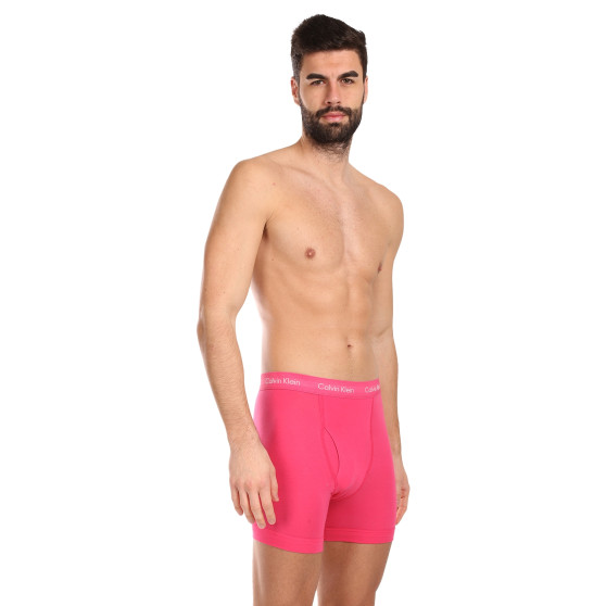 3PACK herenboxershort Calvin Klein veelkleurig (NB2616A-NLT)